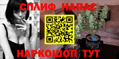 прущие крисы Сланцы