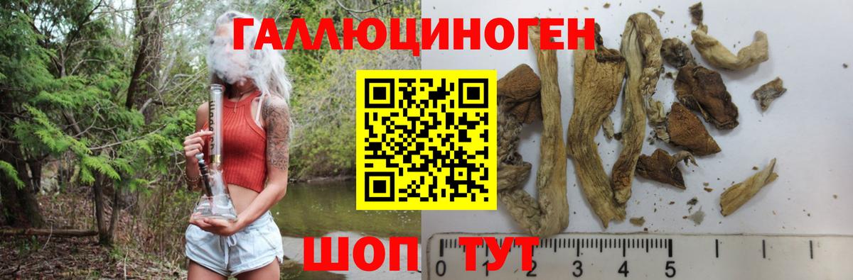 Псилоцибиновые грибы Magic Shrooms  Вход с VPN  Богородск 
