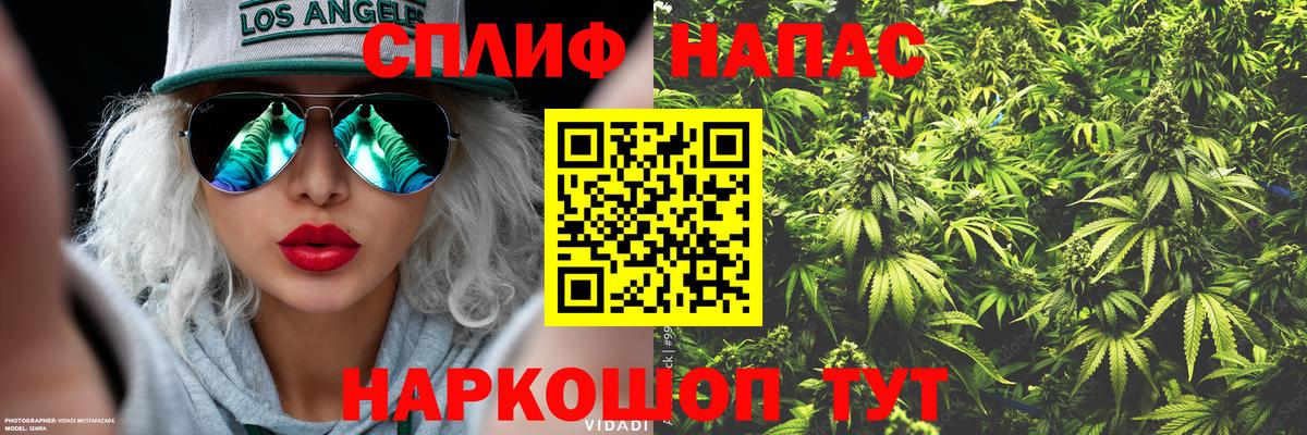 Бошки Шишки конопля Богородск